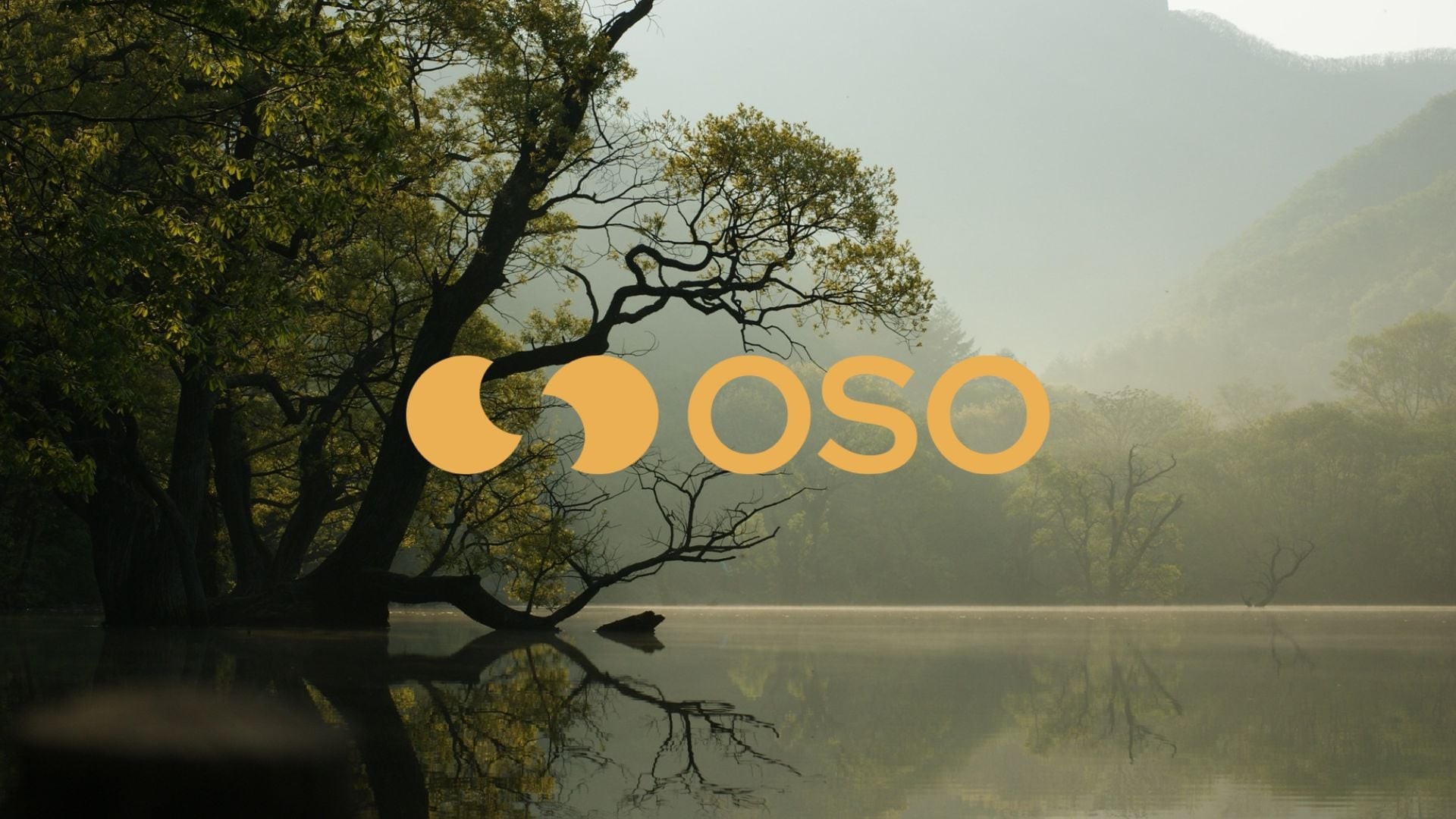 Giving OSO.Earth an identity for positive change