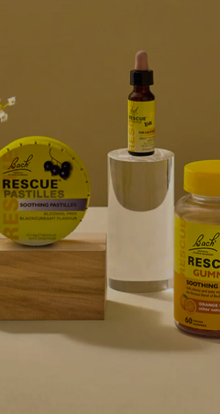 Screenshot 2024 02 21 at 10 v2.32 1