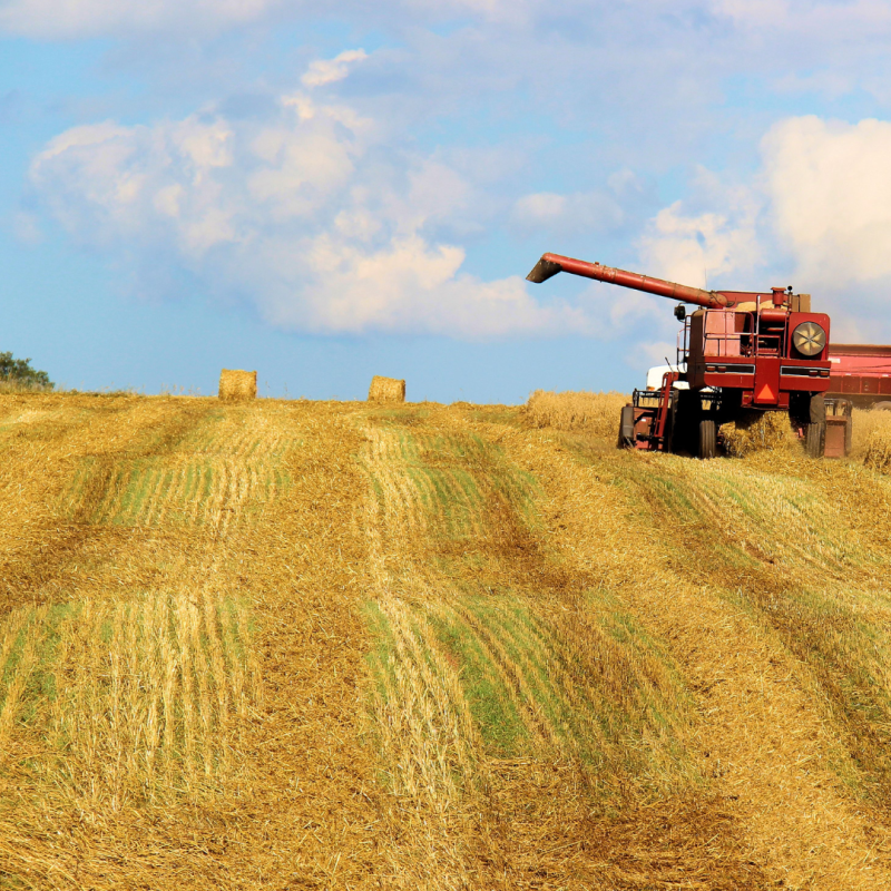 Fram Farmers