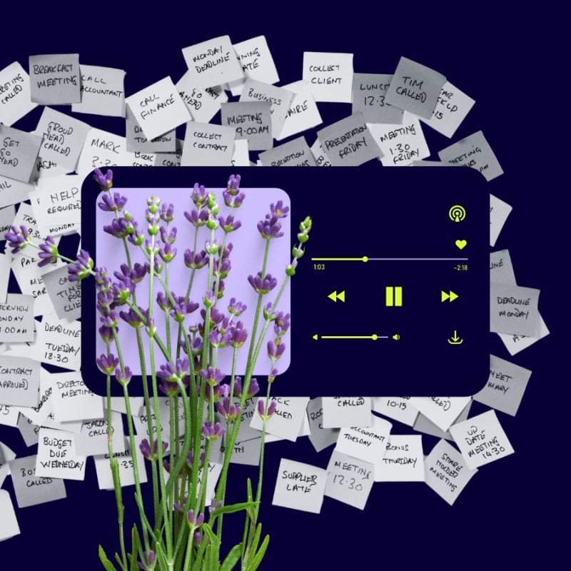 Designing for the Future:  Strategies for Success in the Experience Age